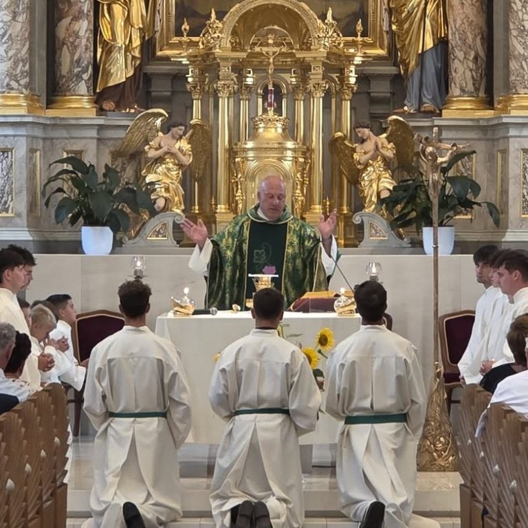 Župnija Semič poslovilna maša Luke Zidanška 15